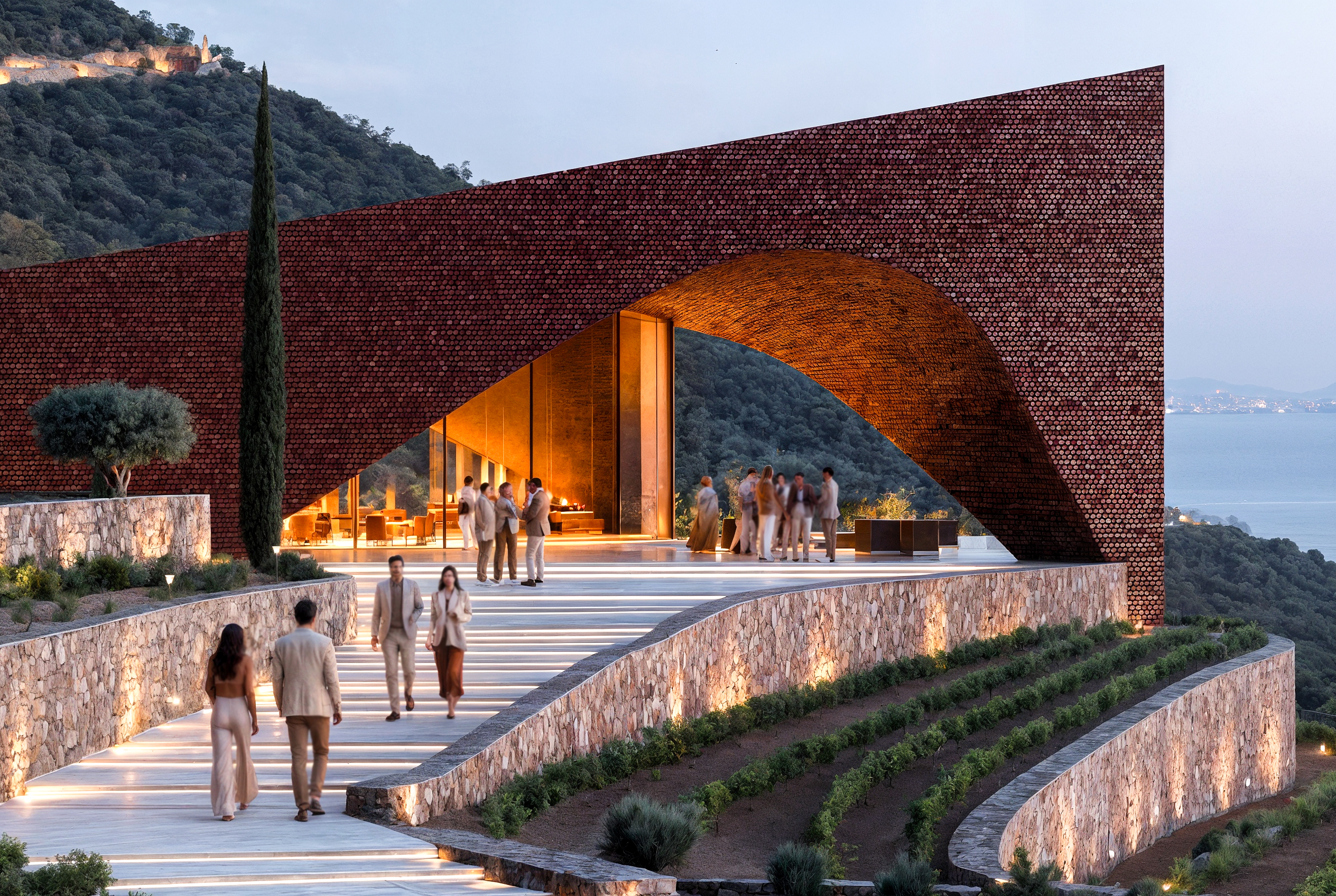 Vineyard Project in Portugal